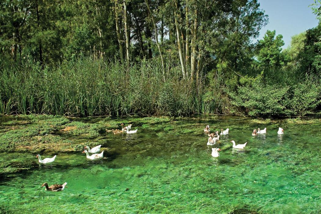 Yucelen Hotel Akyaka  Buitenkant foto